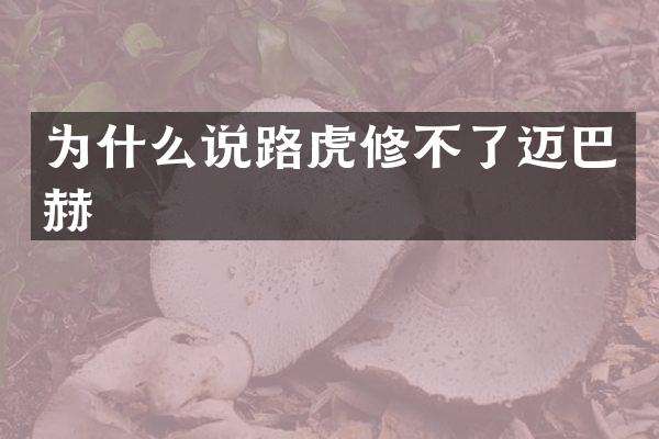 为什么说路虎修不了迈巴赫