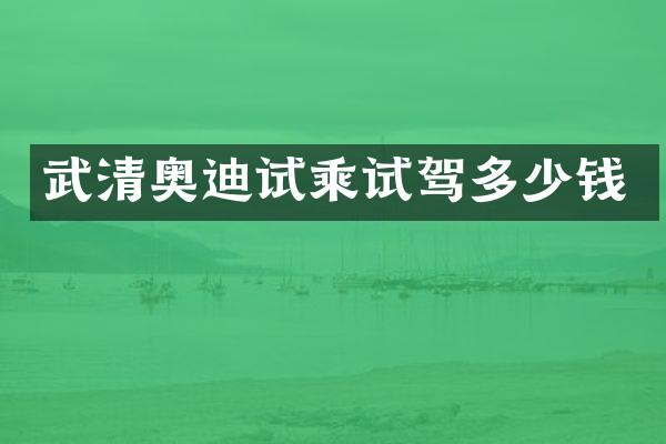 武清奥迪试乘试驾多少钱