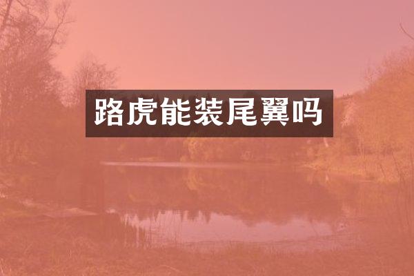 路虎能装尾翼吗