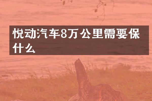 悦动汽车8万公里需要保养什么