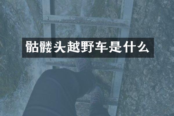 骷髅头越野车是什么