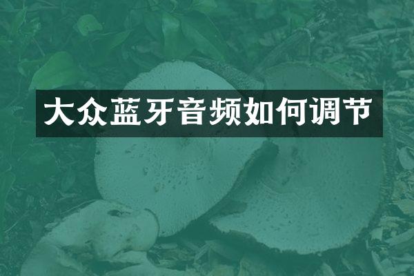 大众蓝牙音频如何调节