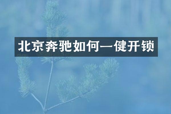 北京奔驰如何一健开锁