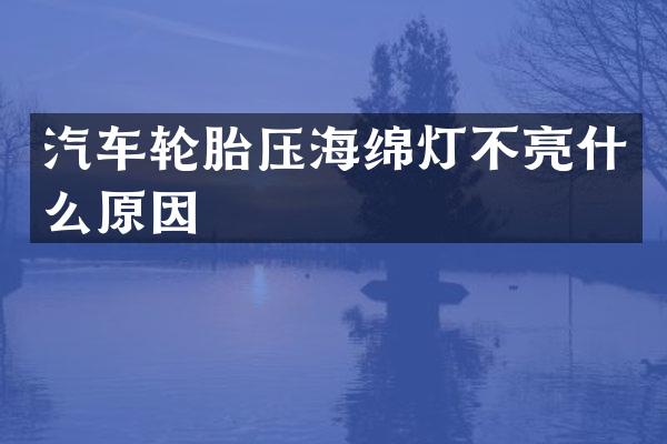 汽车轮胎压海绵灯不亮什么原因