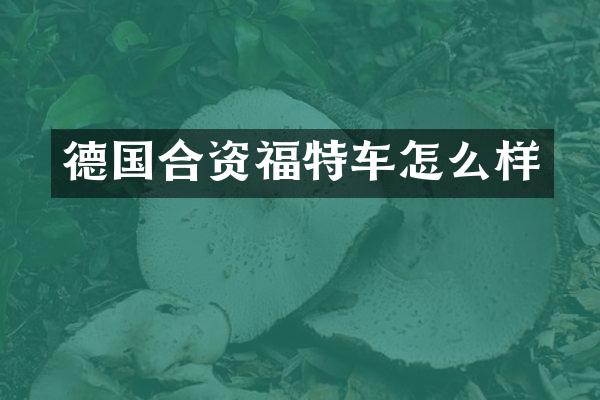 德国合资福特车怎么样