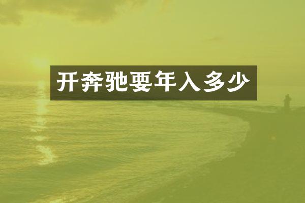 开奔驰要年入多少