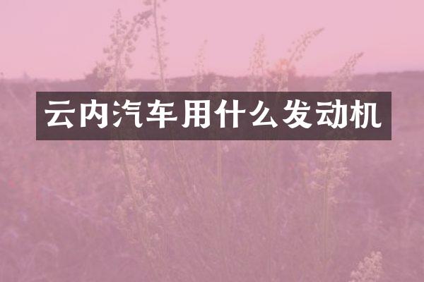 云内汽车用什么发动机