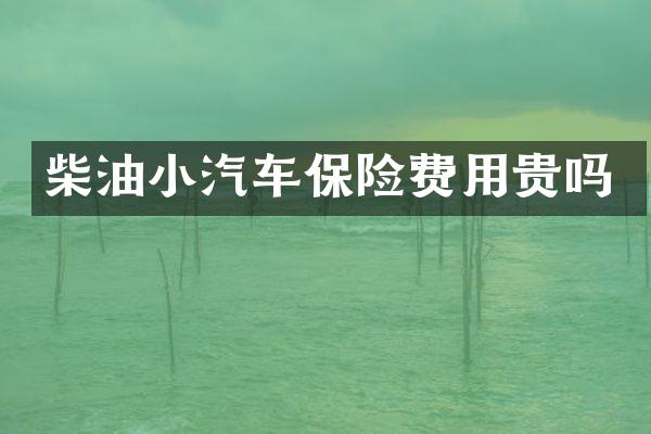柴油小汽车保险费用贵吗