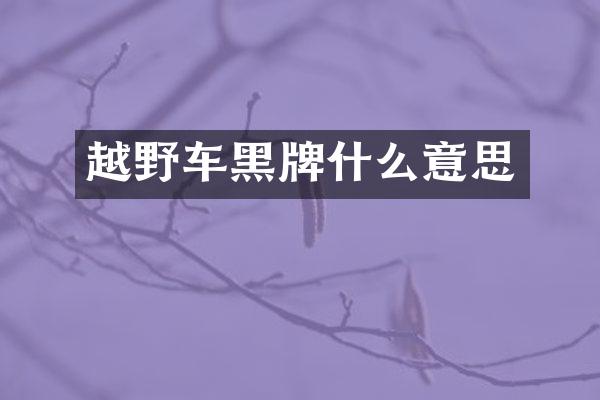 越野车黑牌什么意思