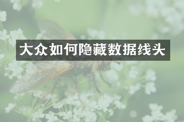 大众如何隐藏数据线头