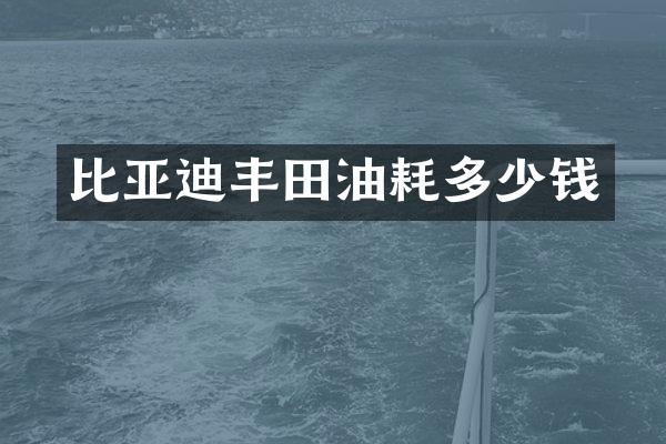 比亚迪丰田油耗多少钱