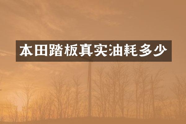 本田踏板真实油耗多少