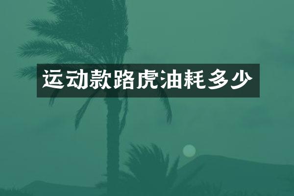运动款路虎油耗多少