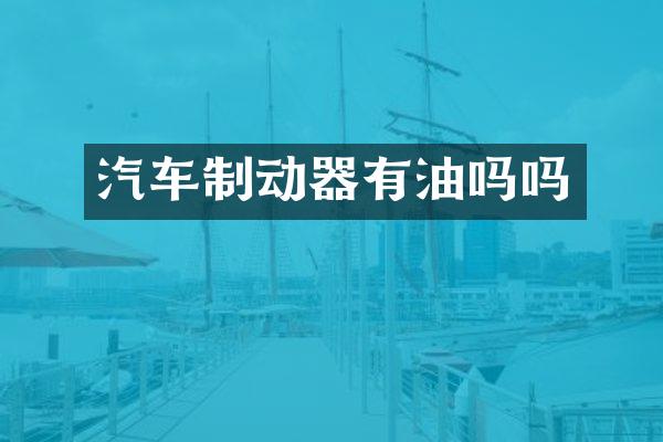 汽车制动器有油吗吗