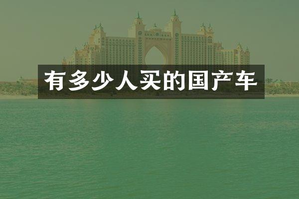 有多少人买的国产车