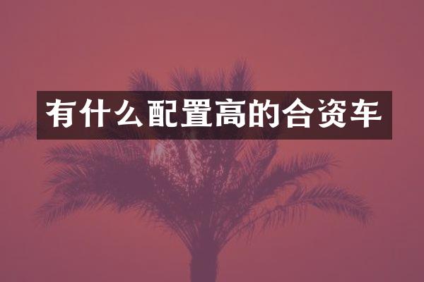 有什么配置高的合资车