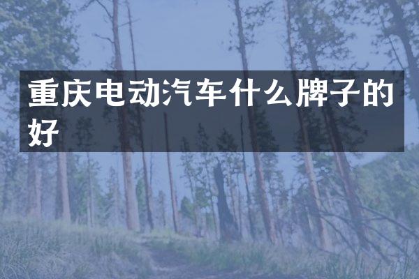 重庆电动汽车什么牌子的好