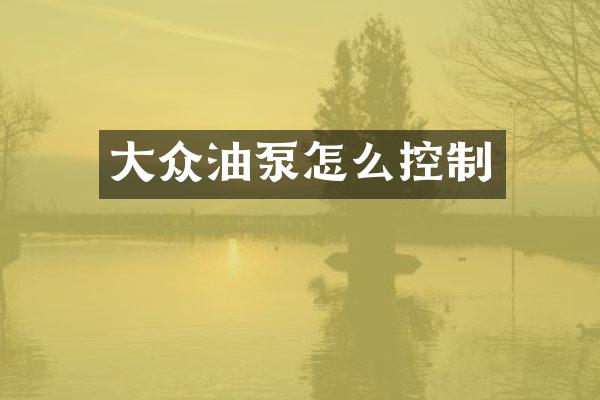 大众油泵怎么控制