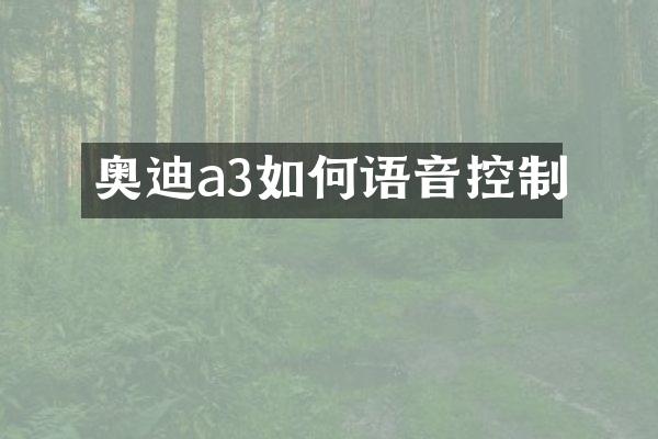 奥迪a3如何语音控制
