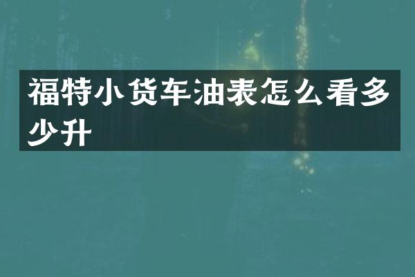 福特小货车油表怎么看多少升