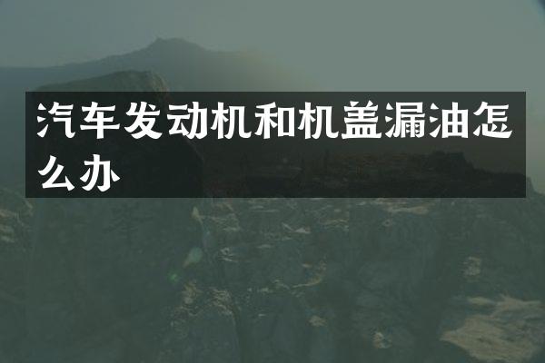 汽车发动机和机盖漏油怎么办