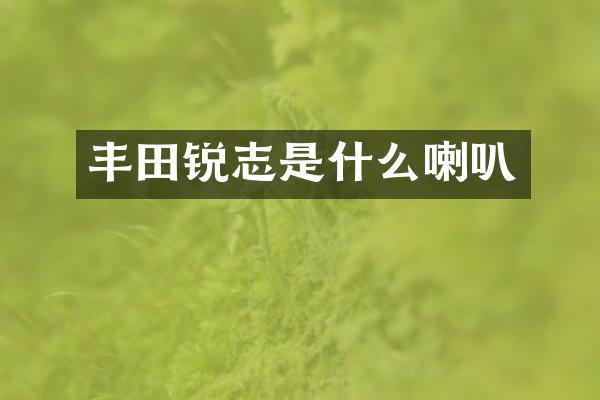 丰田锐志是什么喇叭