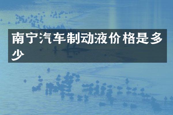 南宁汽车制动液价格是多少