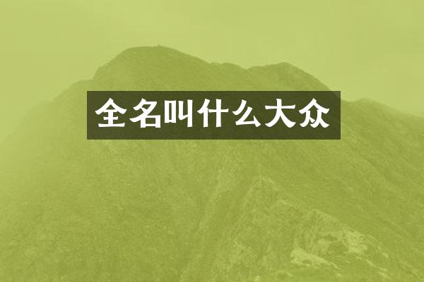 全名叫什么大众