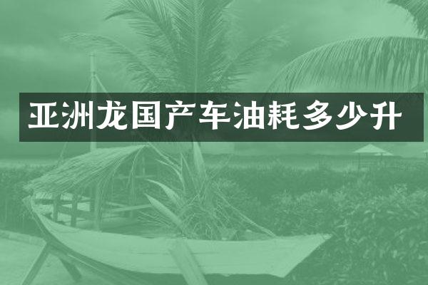 亚洲龙国产车油耗多少升