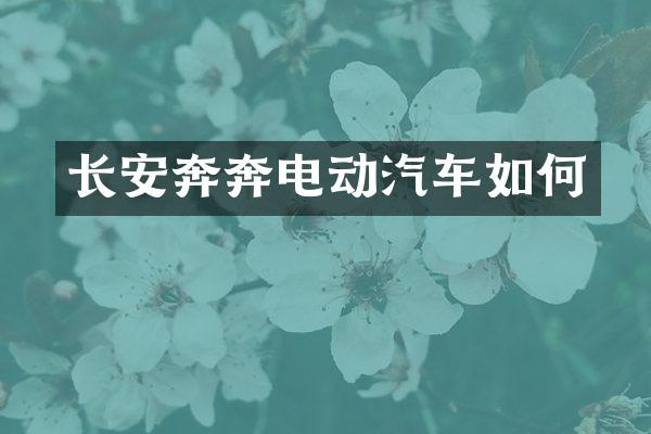 长安奔奔电动汽车如何