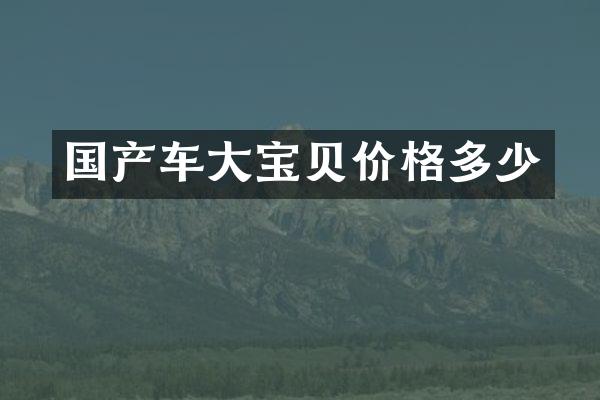 国产车大宝贝价格多少