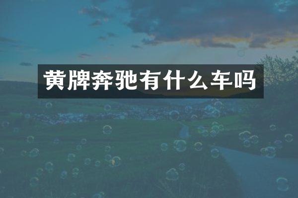 黄牌奔驰有什么车吗