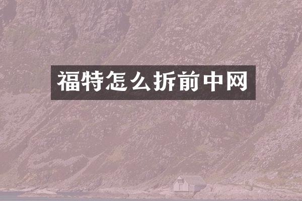 福特怎么拆前中网