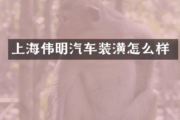 上海伟明汽车装潢怎么样