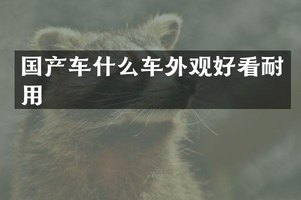 国产车什么车外观好看耐用