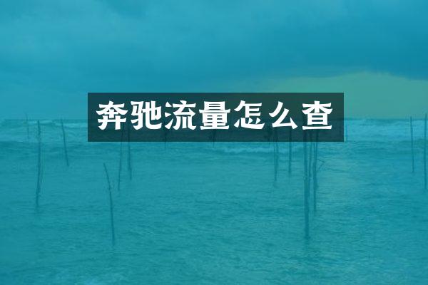奔驰流量怎么查