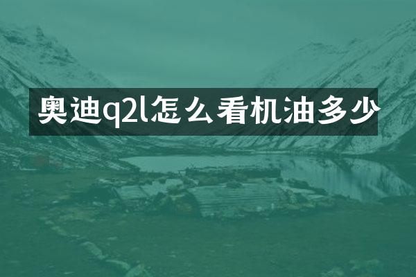 奥迪q2l怎么看机油多少