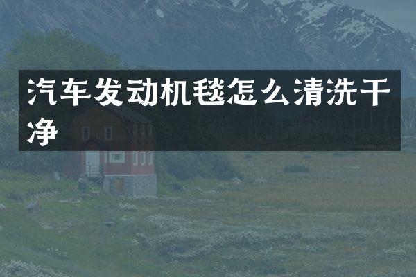 汽车发动机毯怎么清洗干净