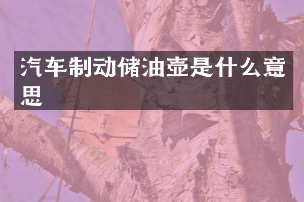 汽车制动储油壶是什么意思