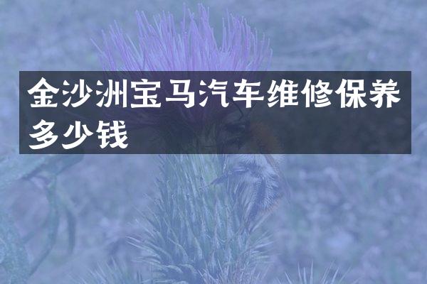 金沙洲宝马汽车维修保养多少钱