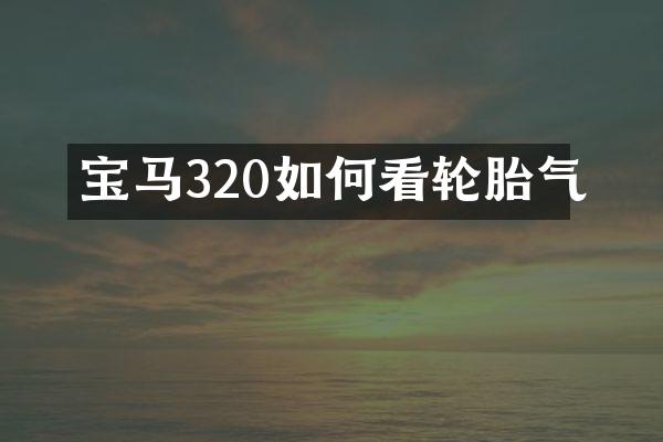 宝马320如何看轮胎气