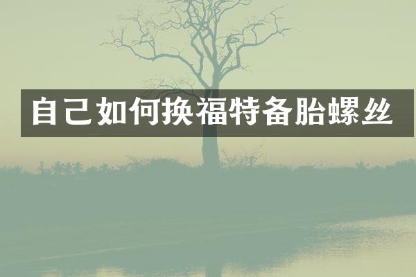 自己如何换福特备胎螺丝
