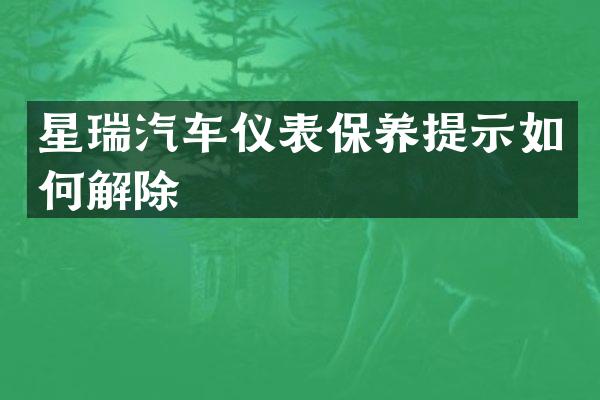 星瑞汽车仪表保养提示如何解除