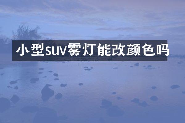 小型suv雾灯能改颜色吗