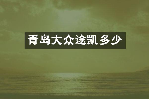 青岛大众途凯多少