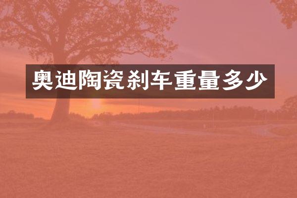 奥迪陶瓷刹车重量多少