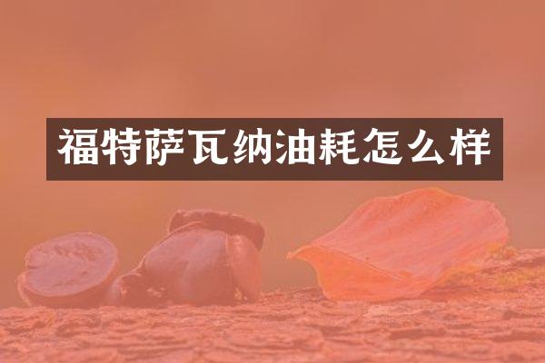 福特萨瓦纳油耗怎么样