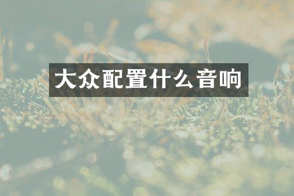 大众配置什么音响