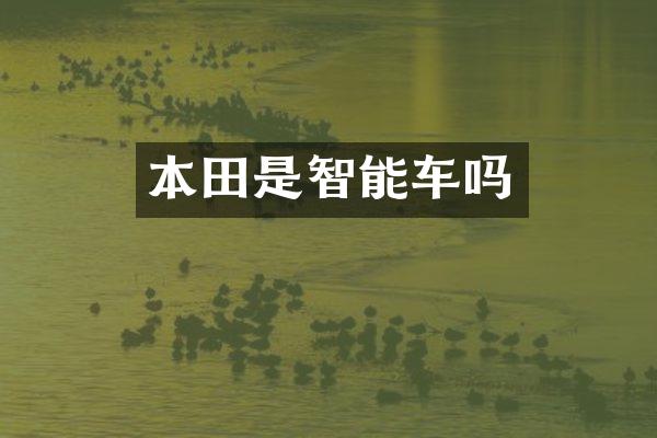 本田是智能车吗