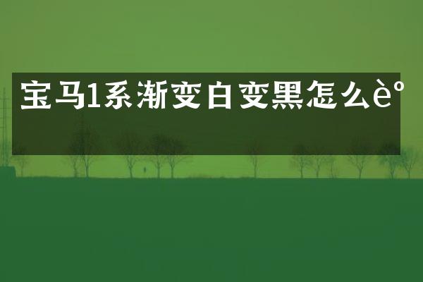 宝马1系渐变白变黑怎么调